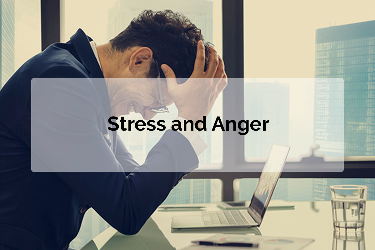 Stress and Anger